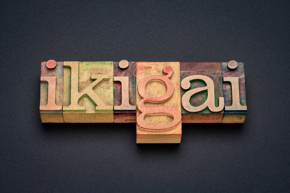 ikigai word - Japanese life purpose concept